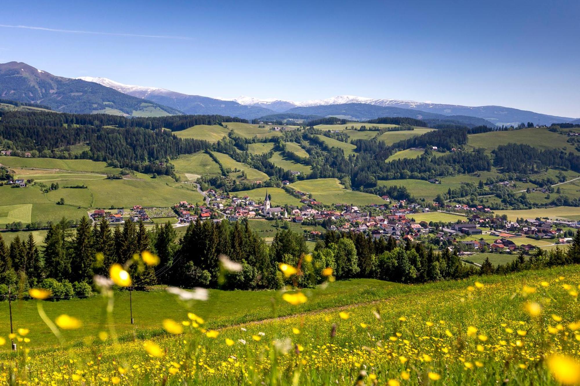 Naturpark Chalets Lambrecht By Alps Resorts Sankt Lambrecht Exterior foto